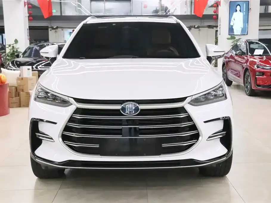 BYD Tang New Energy 2023 из CN, фото 3