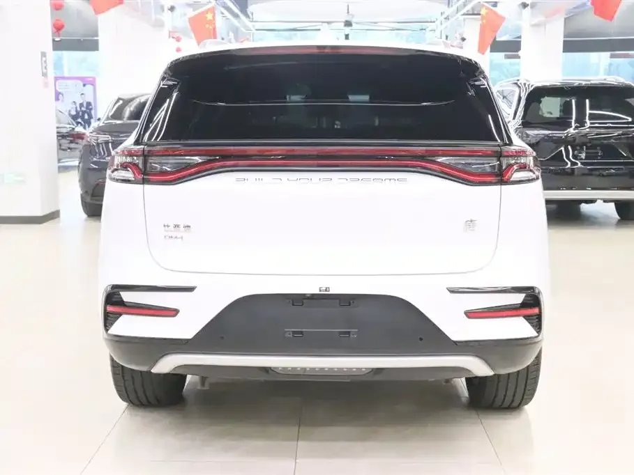 BYD Tang New Energy 2023 из CN, фото 4