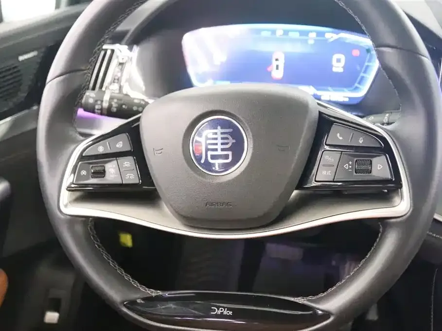 BYD Tang New Energy 2023 из CN, фото 6
