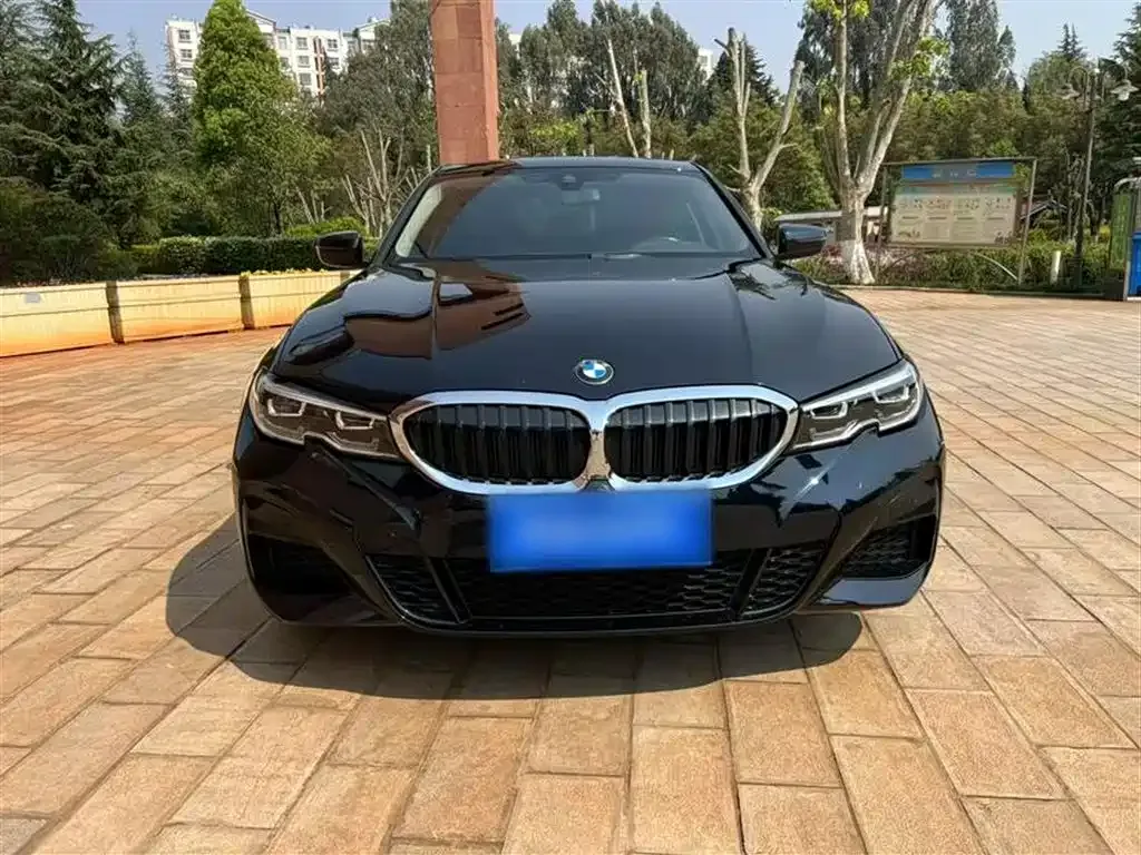 BMW 3 Series 2022 из CN, фото 7