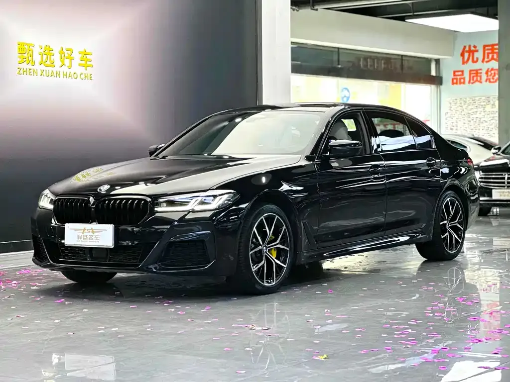 BMW 5 Series 2021 из CN, фото 1