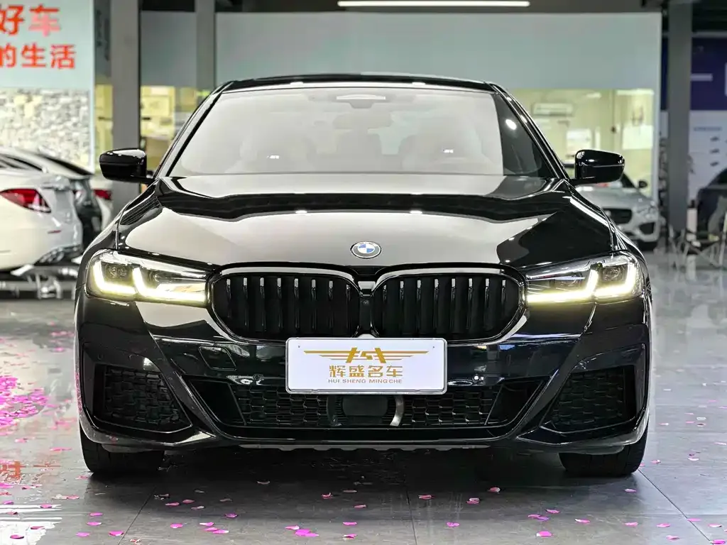 BMW 5 Series 2021 из CN, фото 2