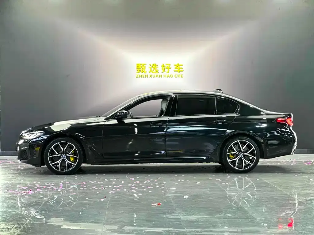 BMW 5 Series 2021 из CN, фото 3