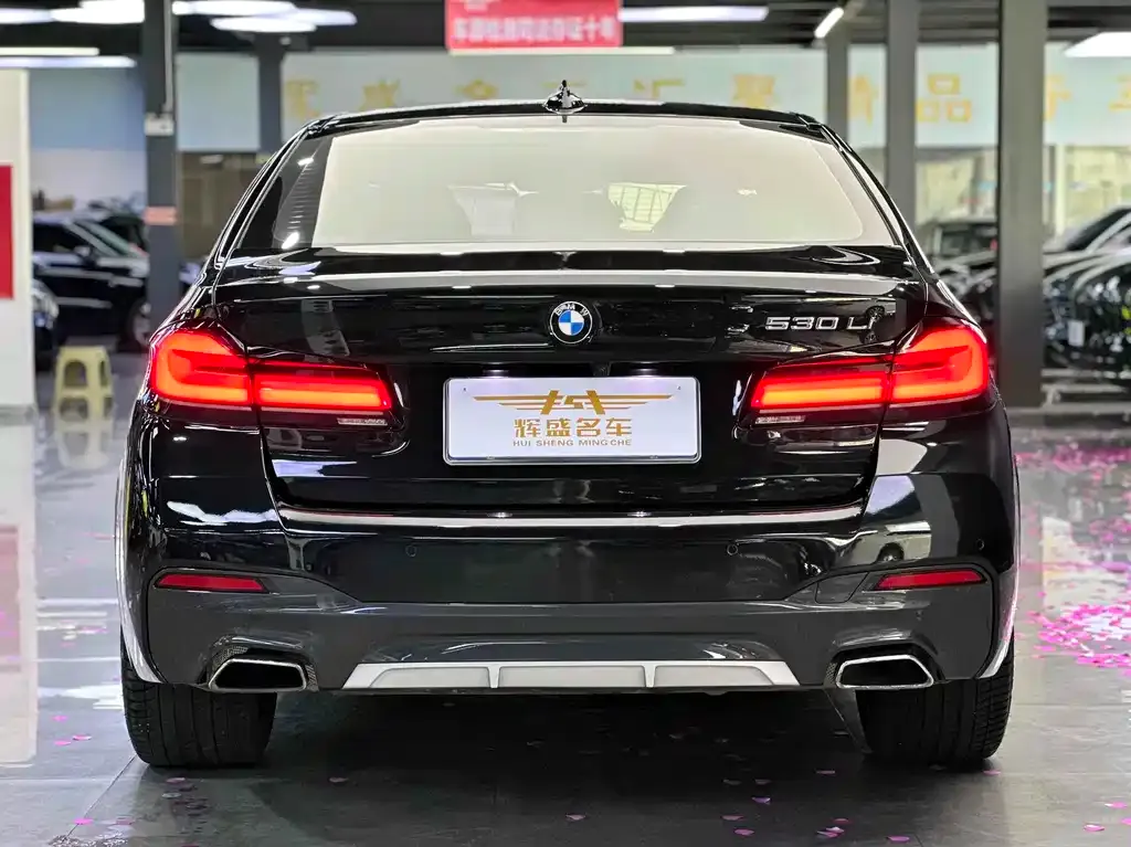 BMW 5 Series 2021 из CN, фото 4