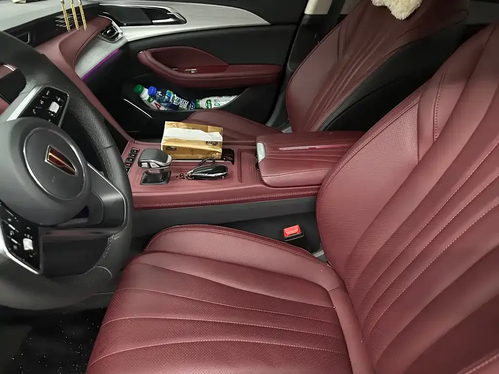 Hongqi H5 2024 из CN, фото 6