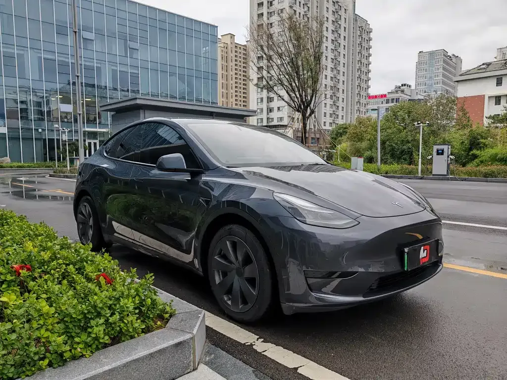 [object Object] Model Y 2022 из CN, фото 3