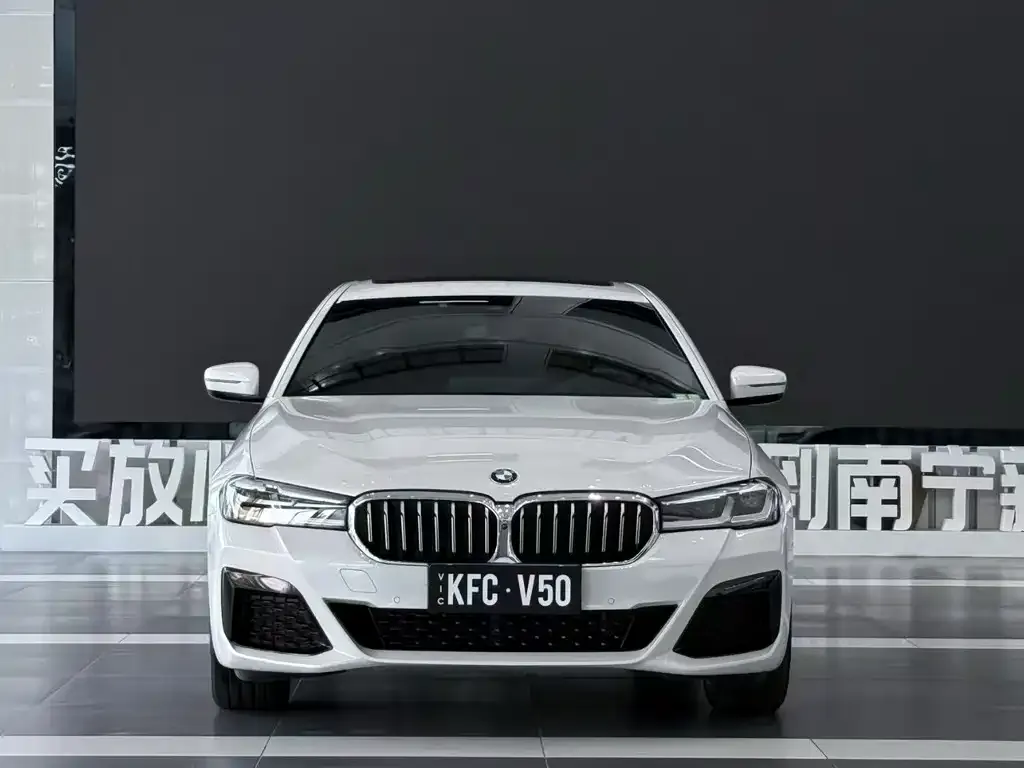 BMW 5 Series 2021 из CN, фото 2