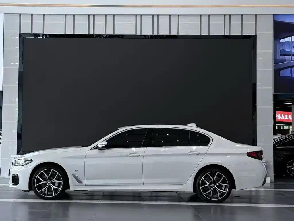 BMW 5 Series 2021 из CN, фото 3