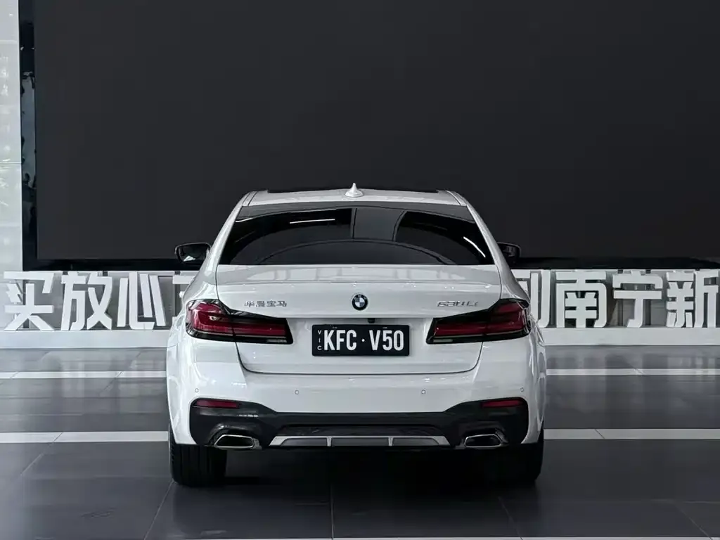 BMW 5 Series 2021 из CN, фото 5