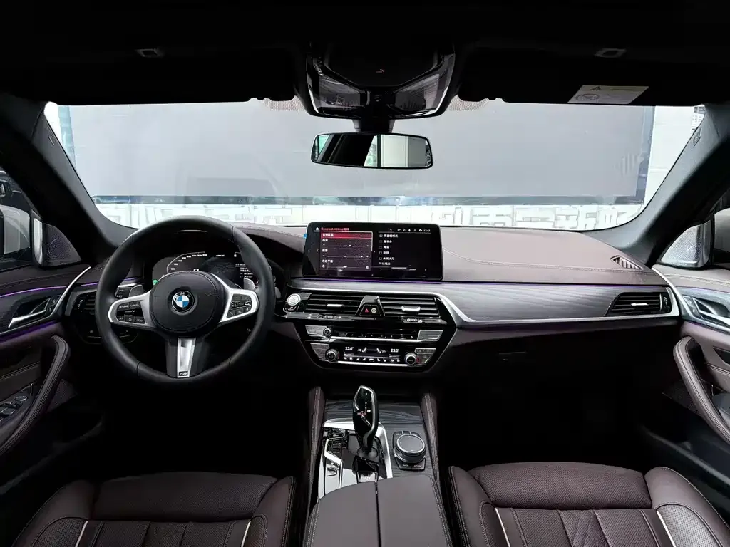 BMW 5 Series 2021 из CN, фото 7