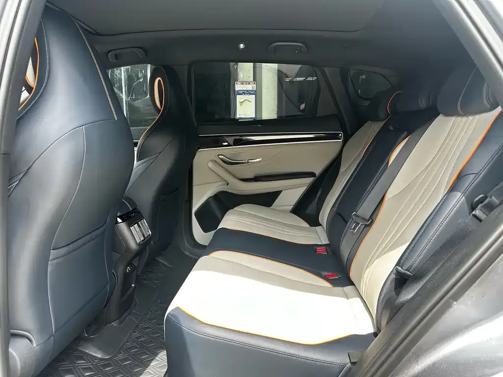 BYD PLUS New Energy 2022 из CN, фото 10