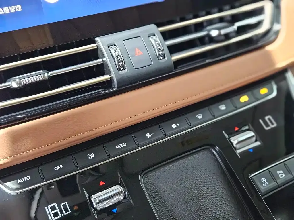 Hongqi HQ9 2023 из CN, фото 10