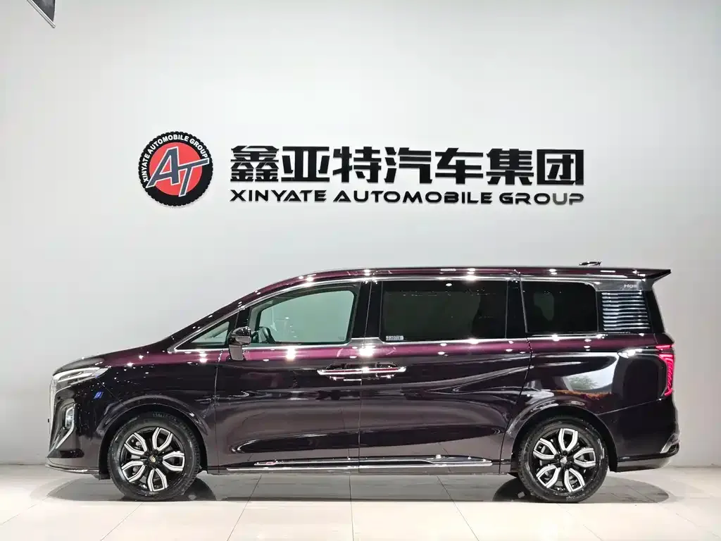 Hongqi HQ9 2023 из CN, фото 4