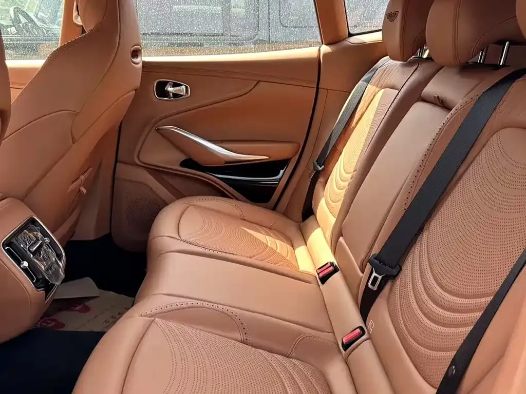 Aston Martin DBX 2025 из CN, фото 9