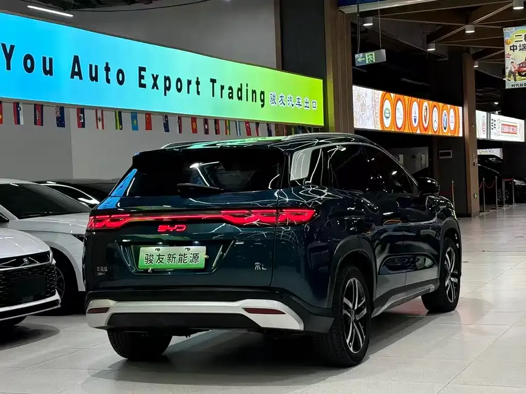 BYD L DM-i 2024 из CN, фото 5