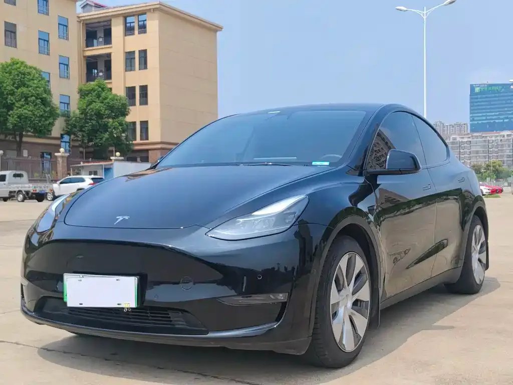 Tesla Model Y 2021 из CN, фото 1