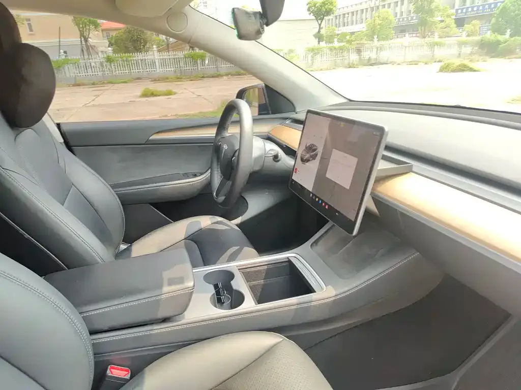 Tesla Model Y 2021 из CN, фото 10