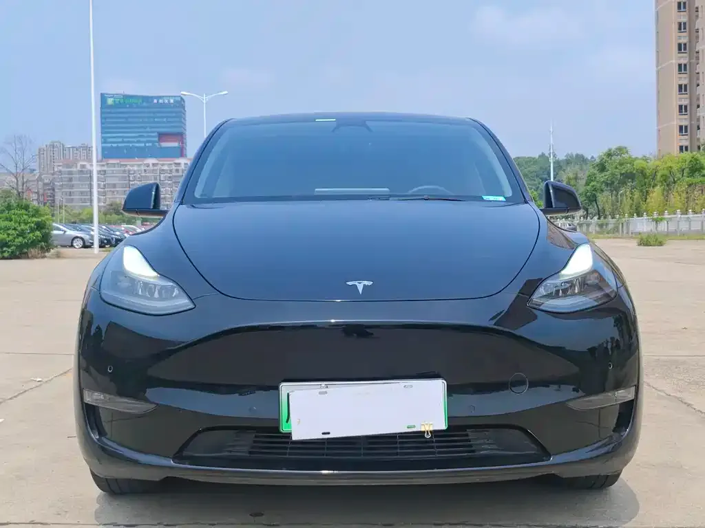 Tesla Model Y 2021 из CN, фото 2
