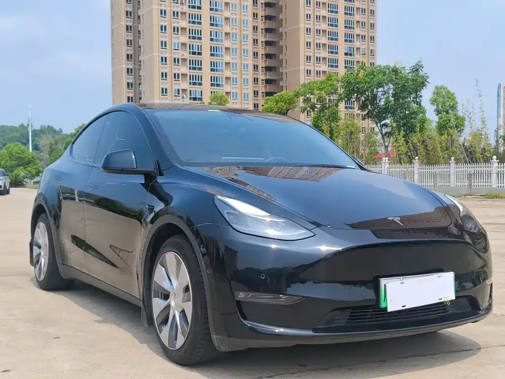 Tesla Model Y 2021 из CN, фото 3