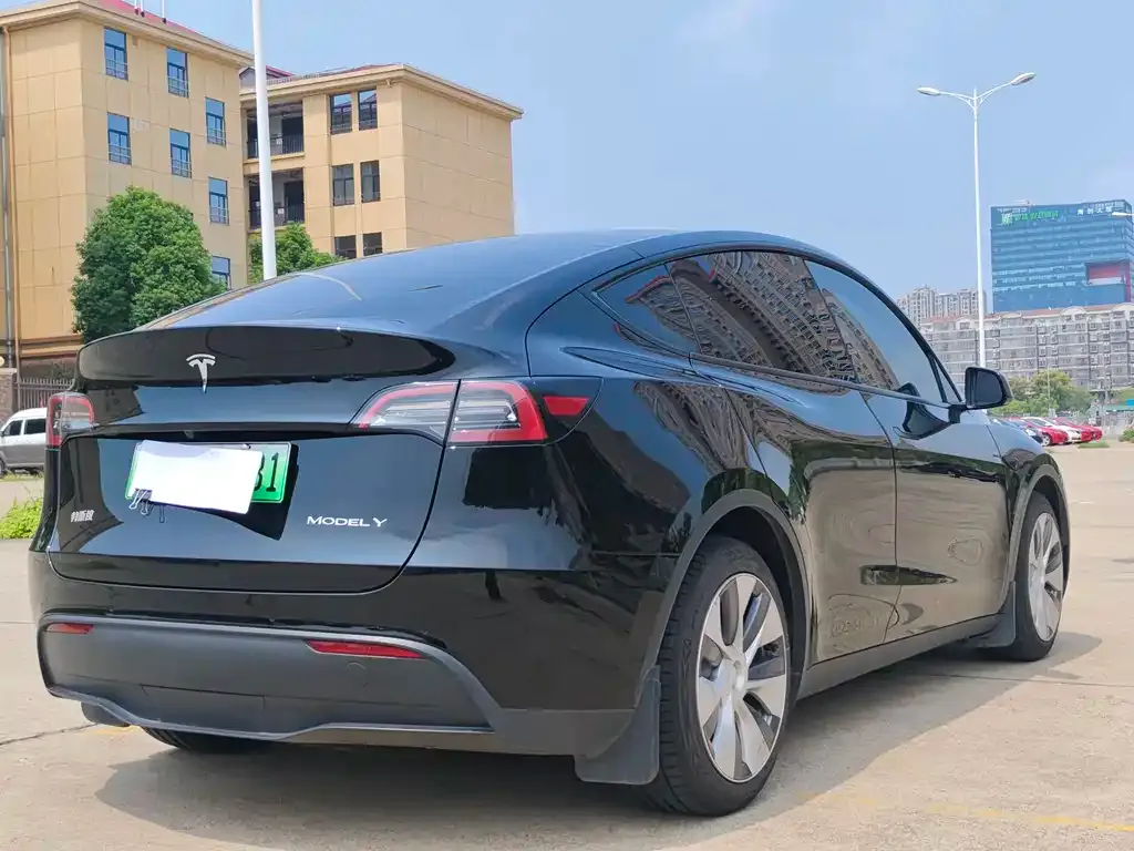 Tesla Model Y 2021 из CN, фото 4