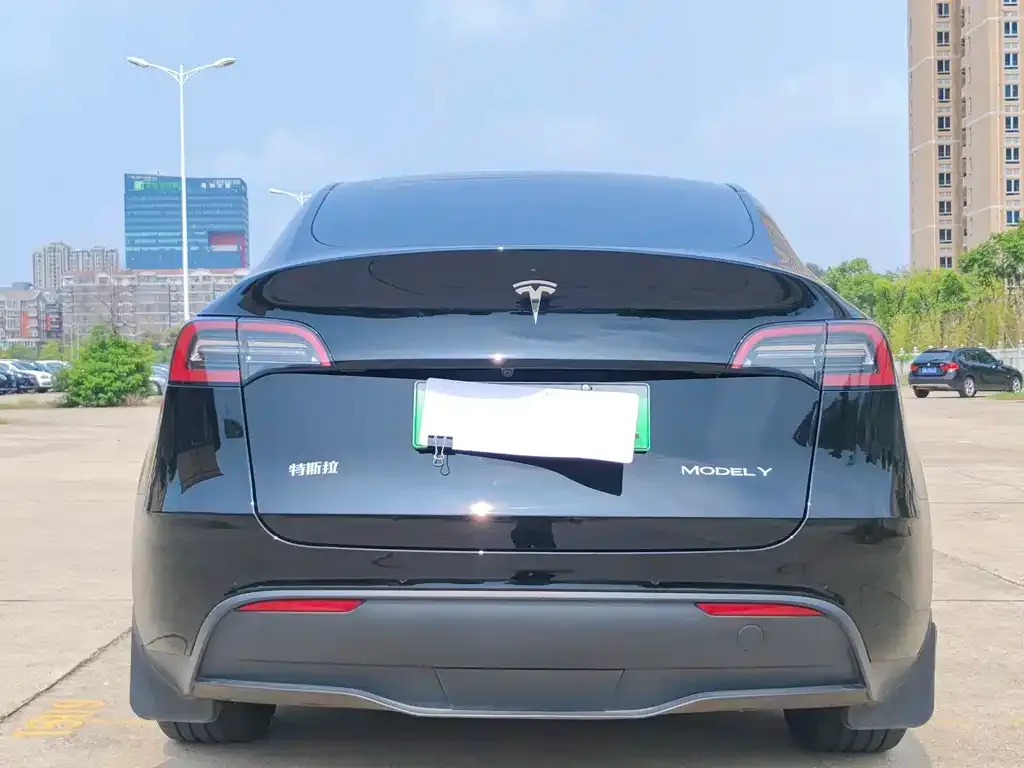 Tesla Model Y 2021 из CN, фото 5