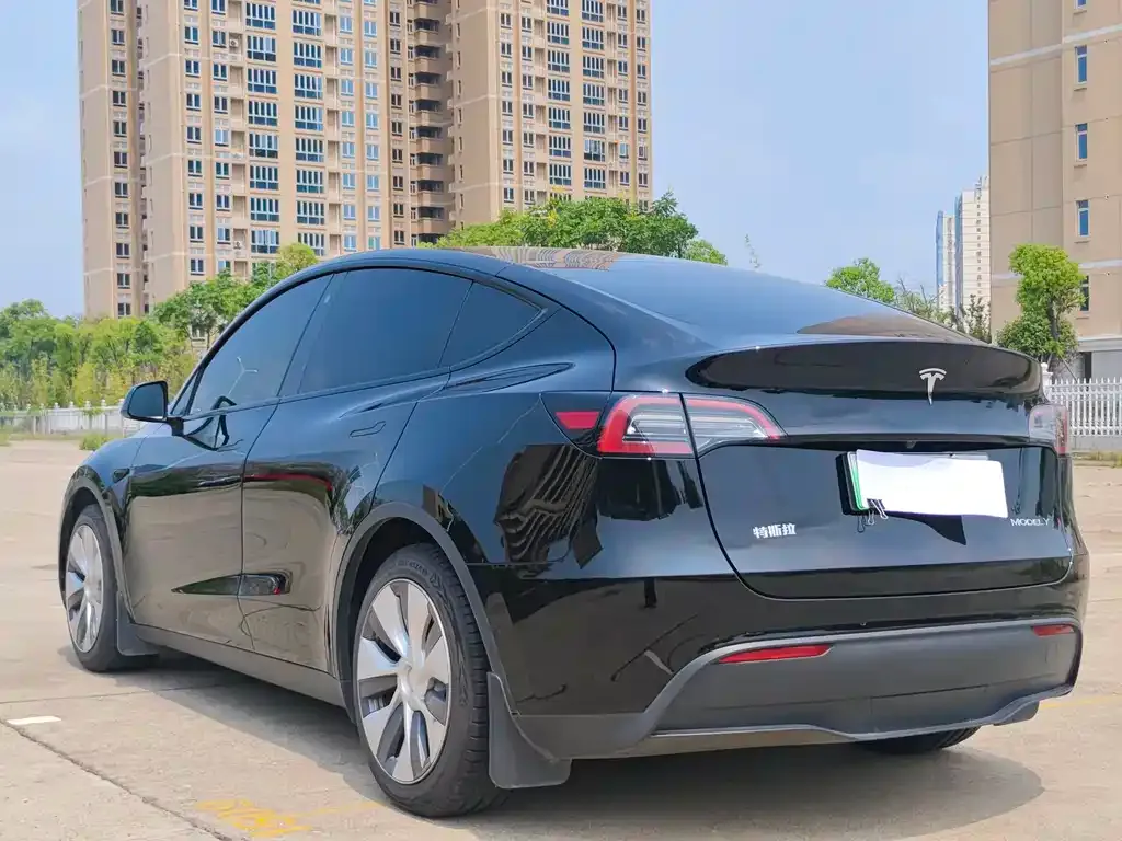 Tesla Model Y 2021 из CN, фото 6