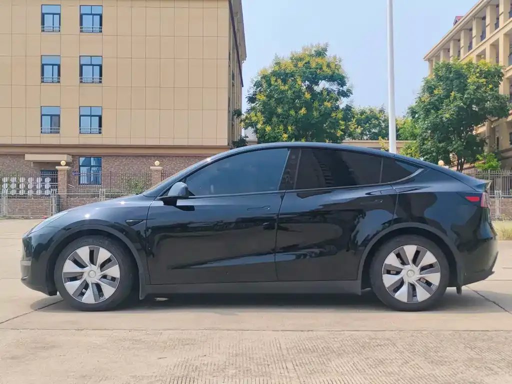 Tesla Model Y 2021 из CN, фото 7