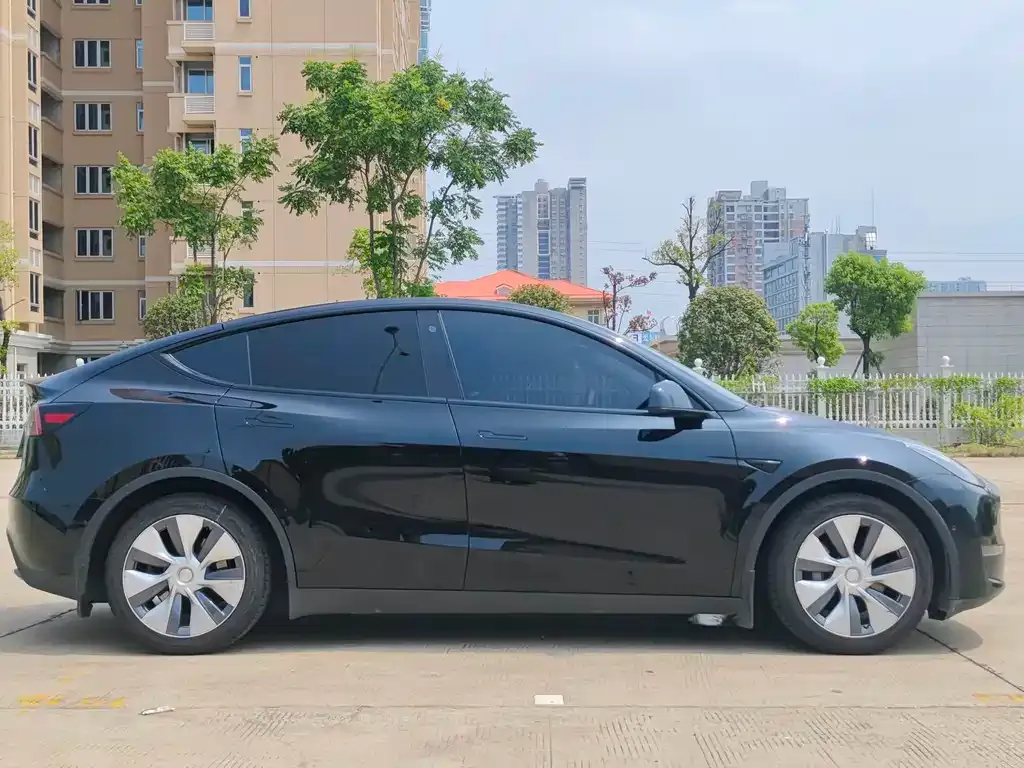 Tesla Model Y 2021 из CN, фото 8