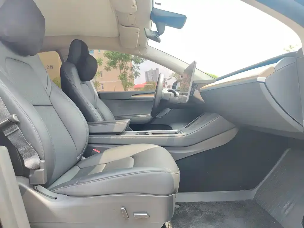 Tesla Model Y 2021 из CN, фото 9