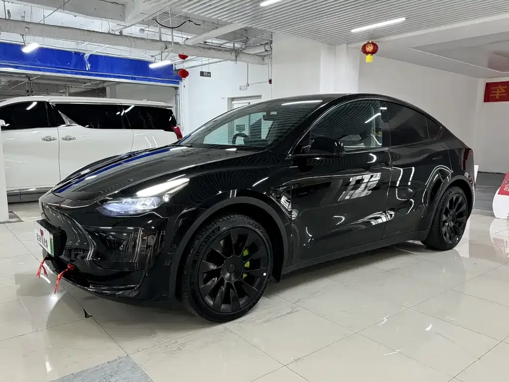 Tesla Model Y 2023 из CN, фото 1