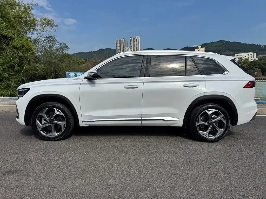 Geely Xingyue L 2024 из CN, фото 5