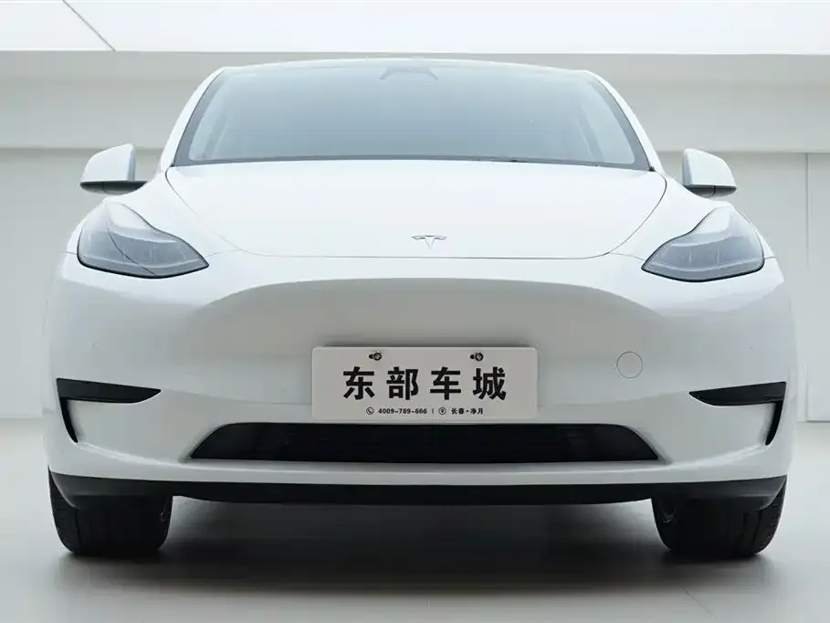 Tesla Model Y — фото 2