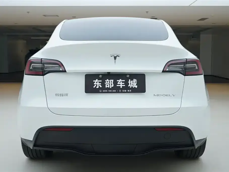 Tesla Model Y — фото 5