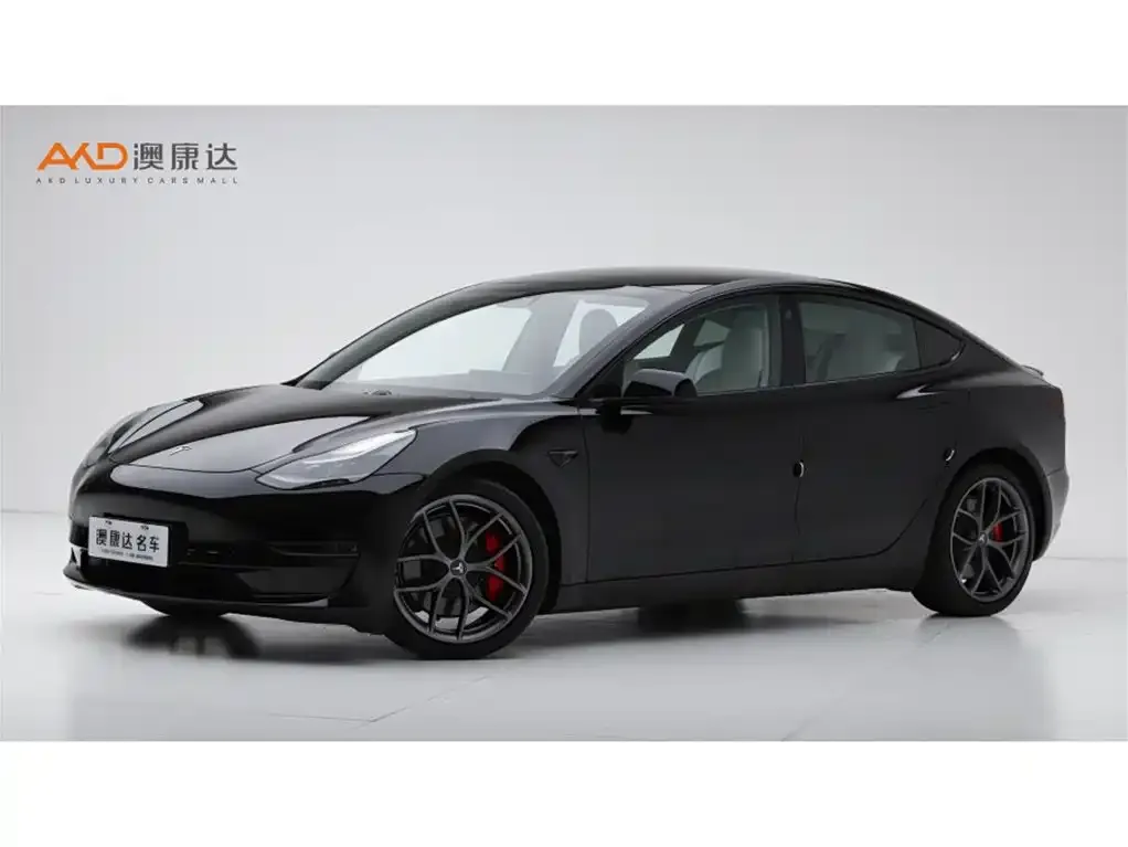 Tesla Model 3 2021 из CN, фото 1
