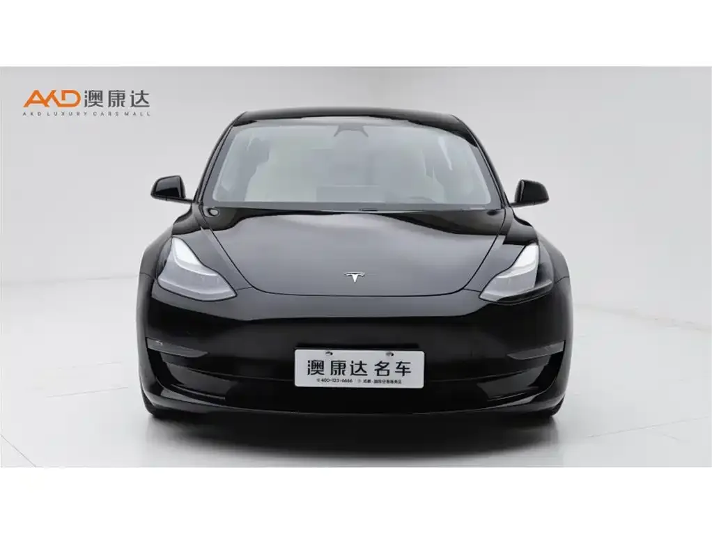 Tesla Model 3 2021 из CN, фото 2
