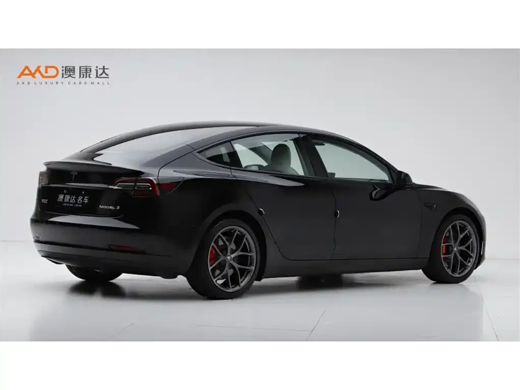 Tesla Model 3 2021 из CN, фото 3