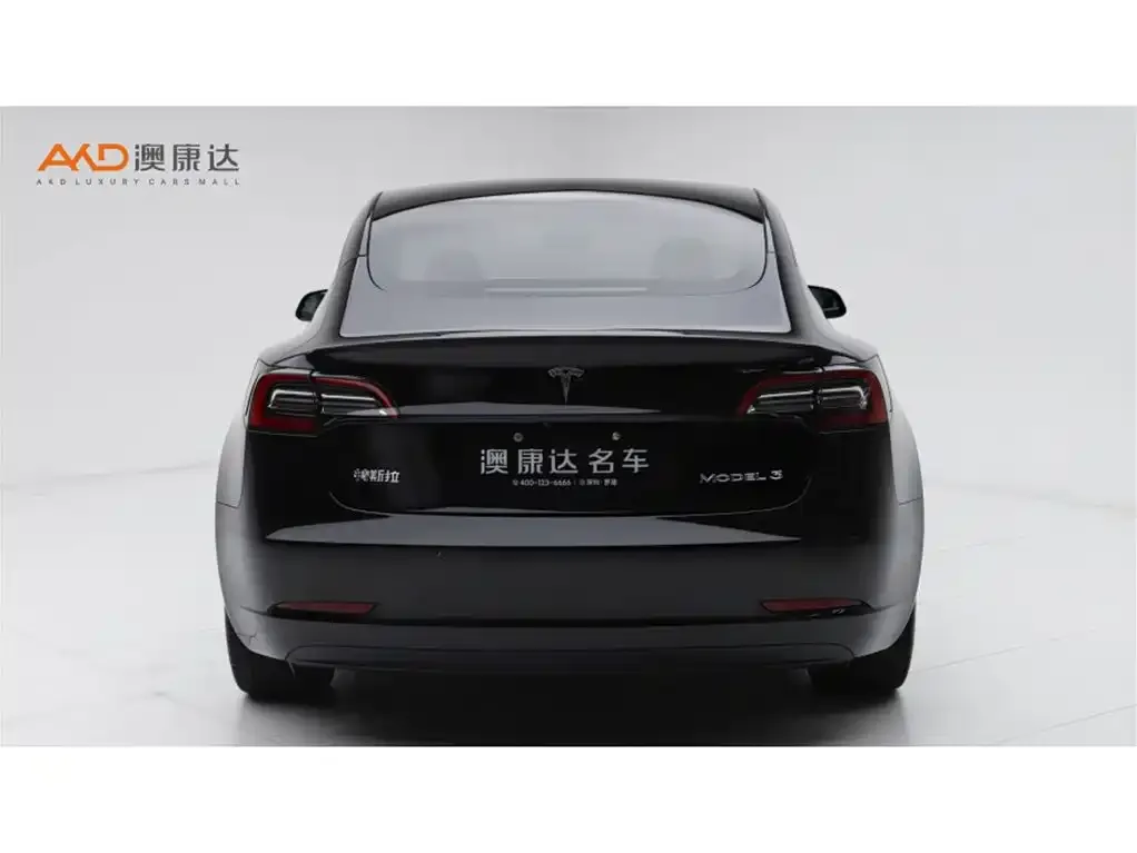 Tesla Model 3 2021 из CN, фото 4
