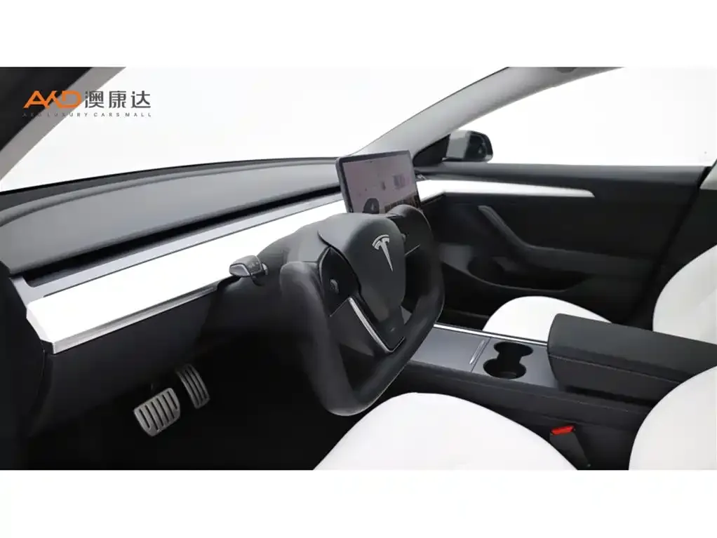 Tesla Model 3 2021 из CN, фото 6