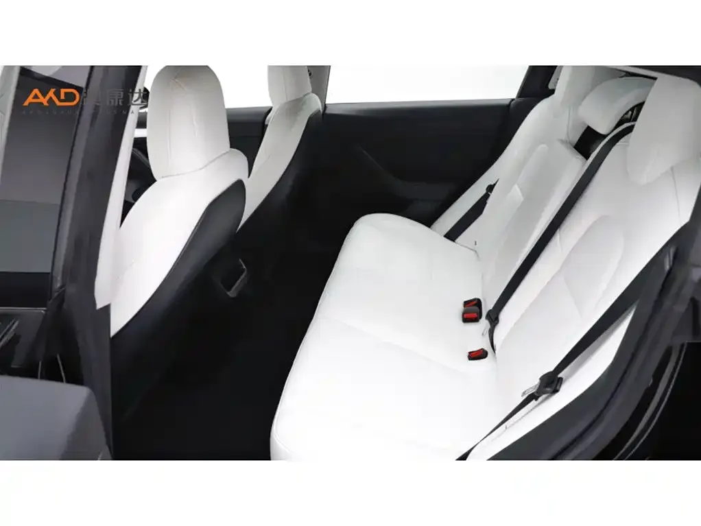 Tesla Model 3 2021 из CN, фото 7