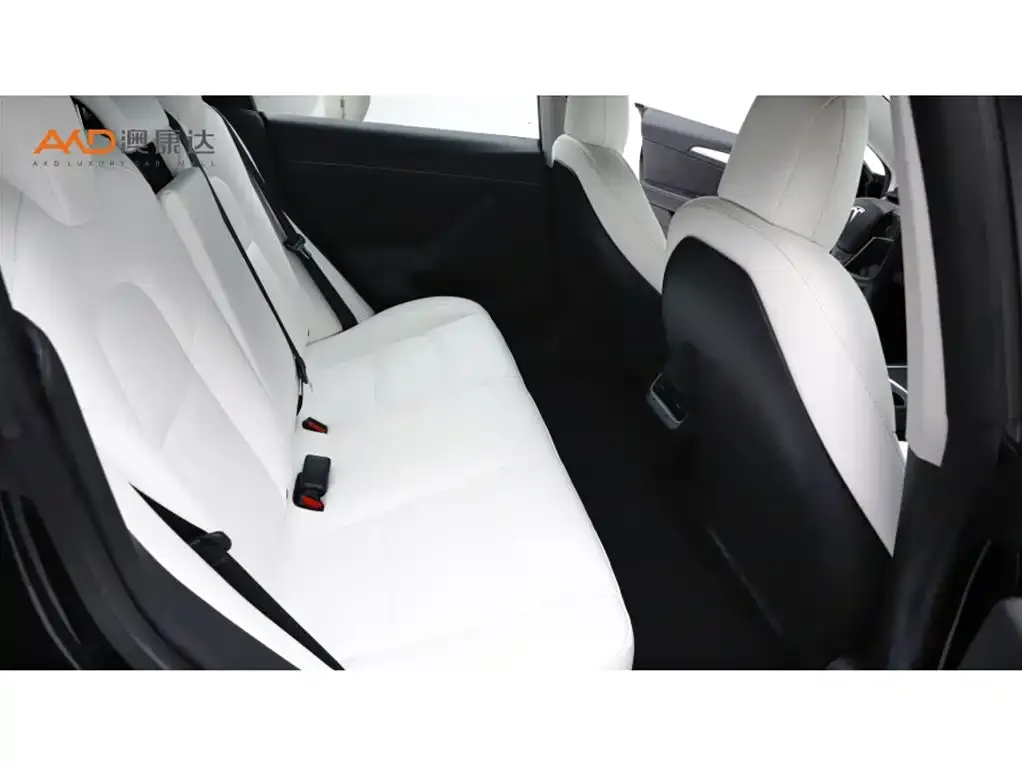 Tesla Model 3 2021 из CN, фото 8