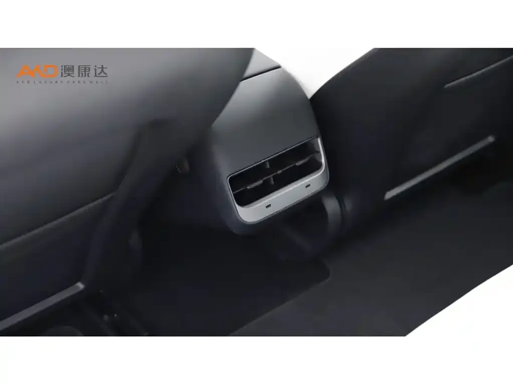 Tesla Model 3 2021 из CN, фото 9