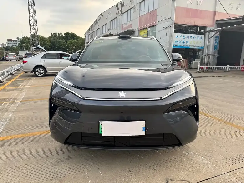 BYD Tang L 2025 из CN, фото 2
