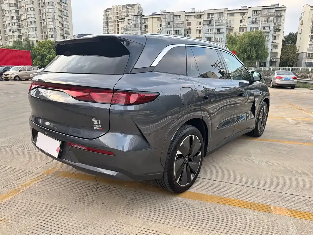 BYD Tang L 2025 из CN, фото 6