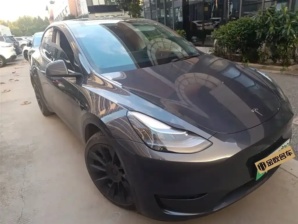 Tesla Model Y 2023 из CN, фото 2