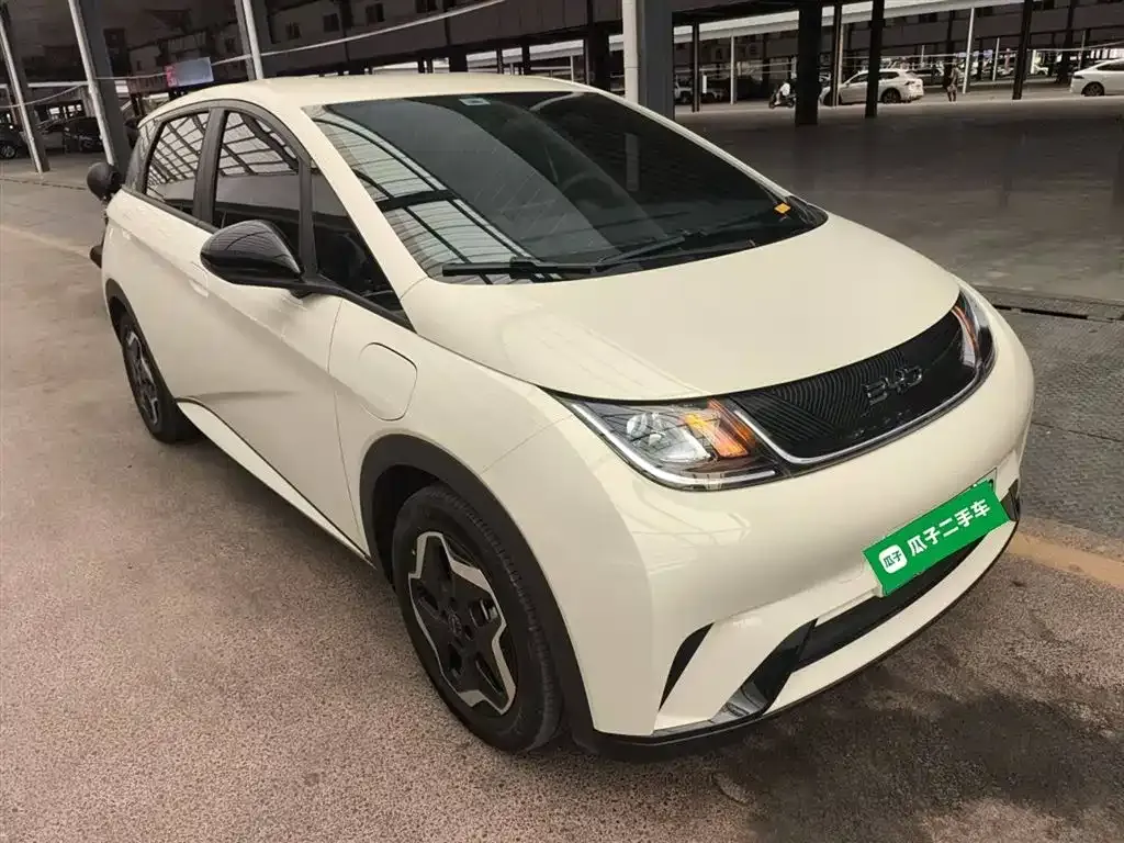 BYD Dolphin 2025 из CN, фото 4