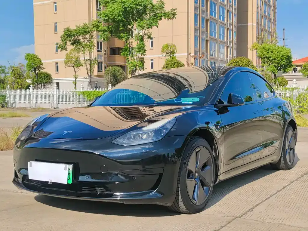 Tesla Model 3 2021 из CN, фото 1