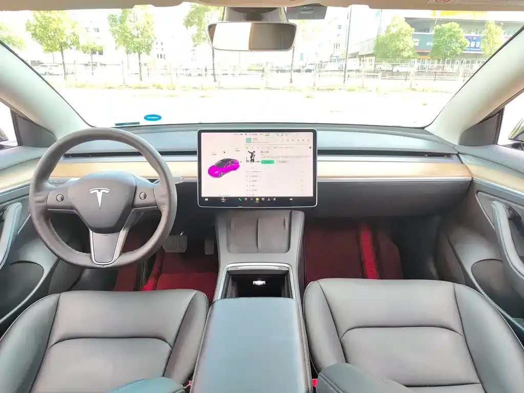 Tesla Model 3 2021 из CN, фото 10