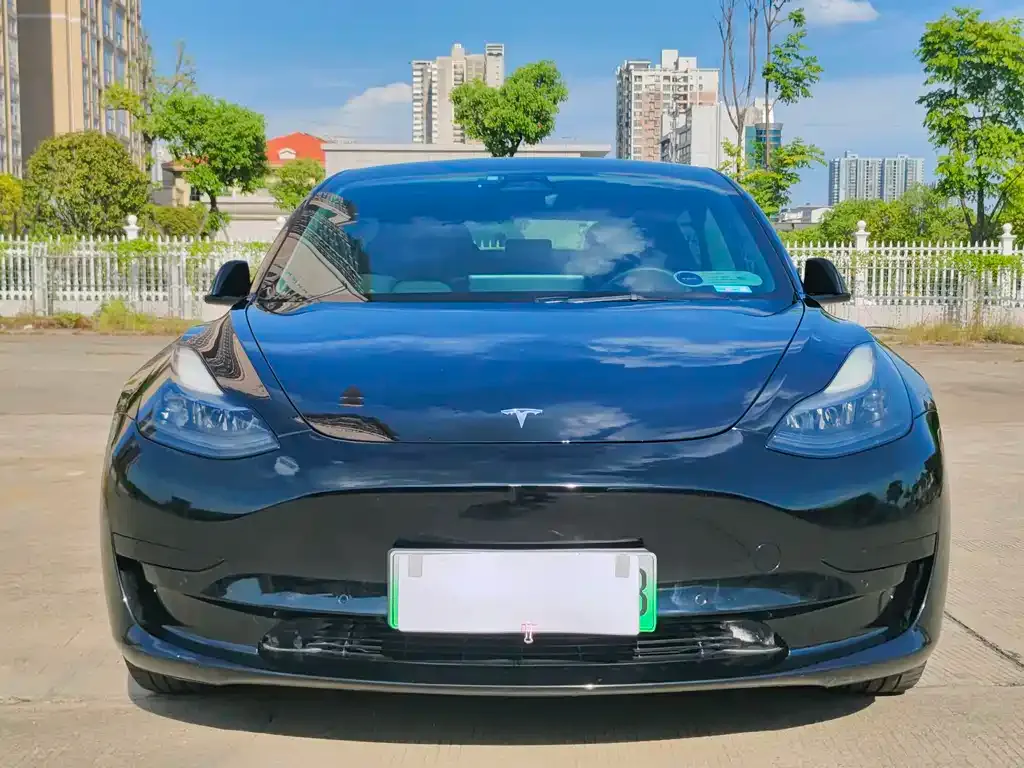 Tesla Model 3 2021 из CN, фото 2
