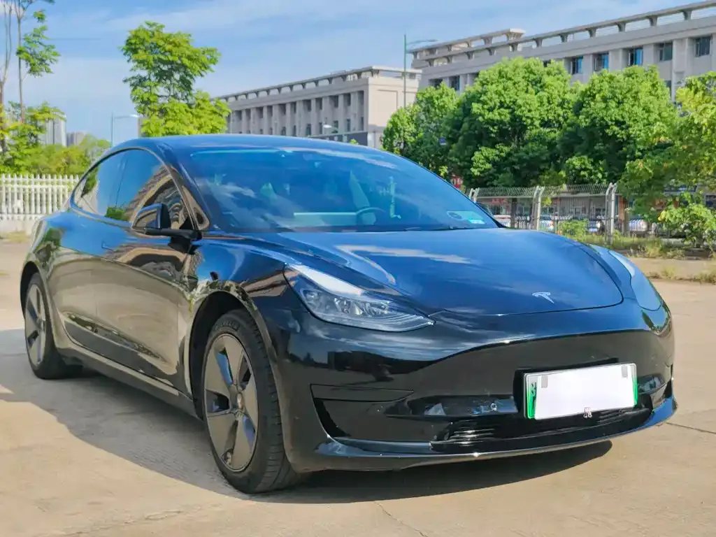 Tesla Model 3 2021 из CN, фото 3
