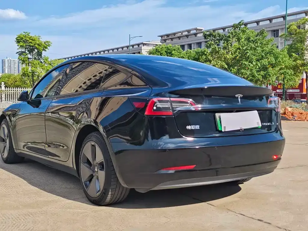 Tesla Model 3 2021 из CN, фото 4